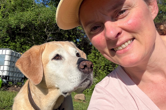 An older yellow labrador looks up at her owner, a rosy cheeked woman wearing a pink t-shirt and yellow baseball cap.