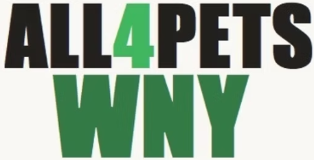 Text graphic reading 'ALL 4 PETS WNY' with 'ALL 4 PETS' in black and 'WNY' in green on a light background.