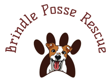 A logo featuring the words 'Brindle Posse Rescue' in dark brown arched lettering above a cartoon dog face peeking out of a brown paw print on a white background.