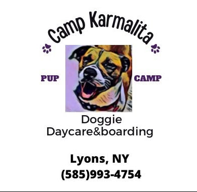 A drawing of a pittie-type dog with the words Camp Karmalita above, PUP CAMP on either side, and Doggie Daycare&boarding below.