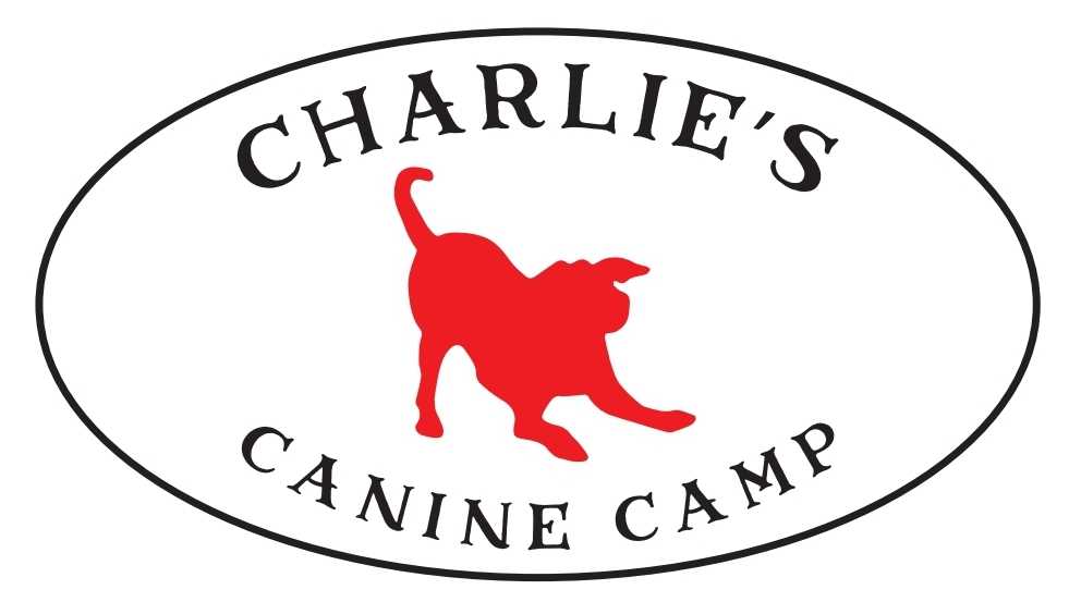 An oval logo with the words 'CHARLIE'S CANINE CAMP' in black text surrounding a red silhouette of a dog on a white background.