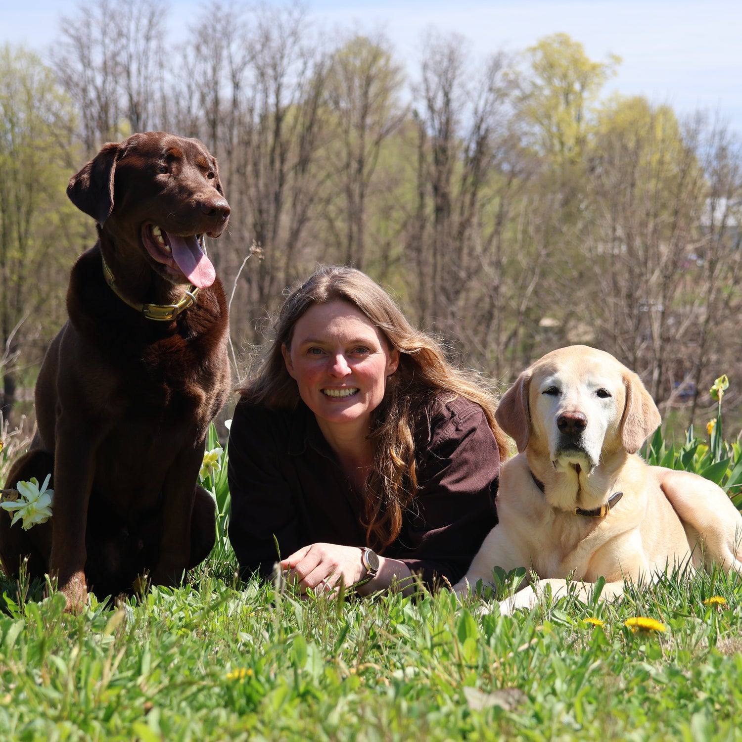 A woman lying on grass outdoors with two dogs, one dark brown and one light cream, in a spring meadow with daffodils and trees in the background.
