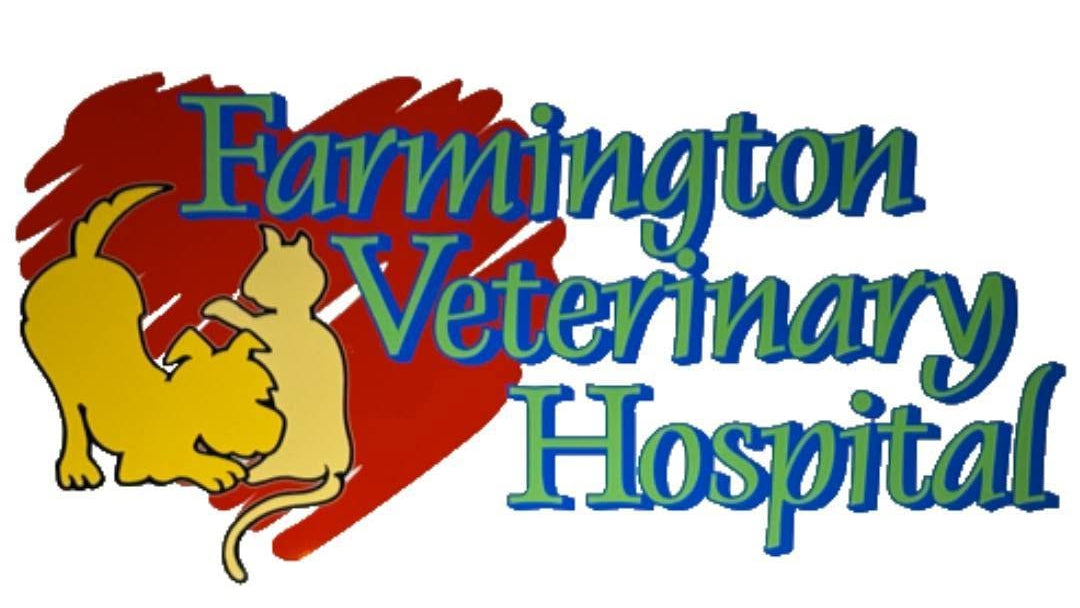 The words Farmington Veterinary Hospital in green with blue outlines with  an outline drawing of a bowing dog next to a sitting cat with an abstract heart in the background.