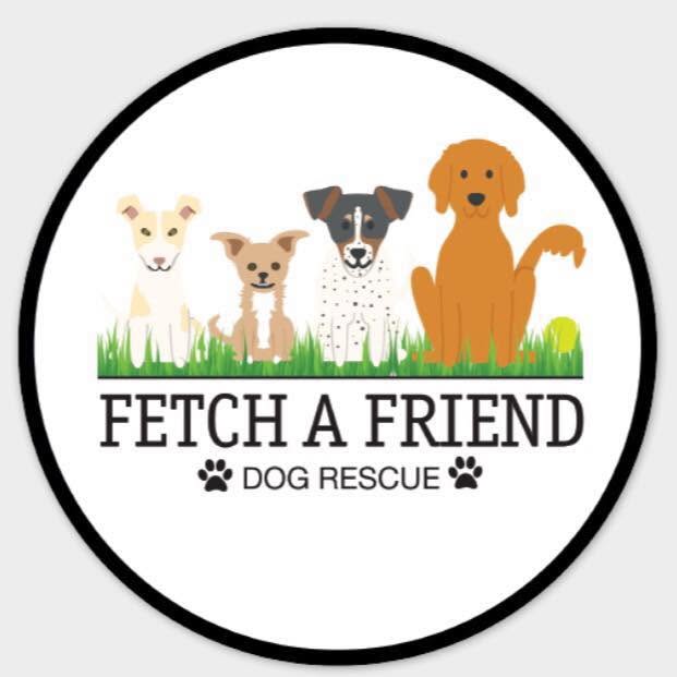 A circular design featuring four cartoon dogs sitting on green grass with the text 'FETCH A FRIEND DOG RESCUE' and paw prints below, shown on a light gray background.