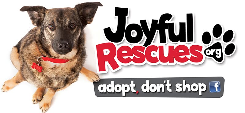 A small brown and black dog wearing a red collar is pictured next to large text reading 'Joyful Rescues org' with a paw print and the phrase 'adopt don't shop' on a white background.