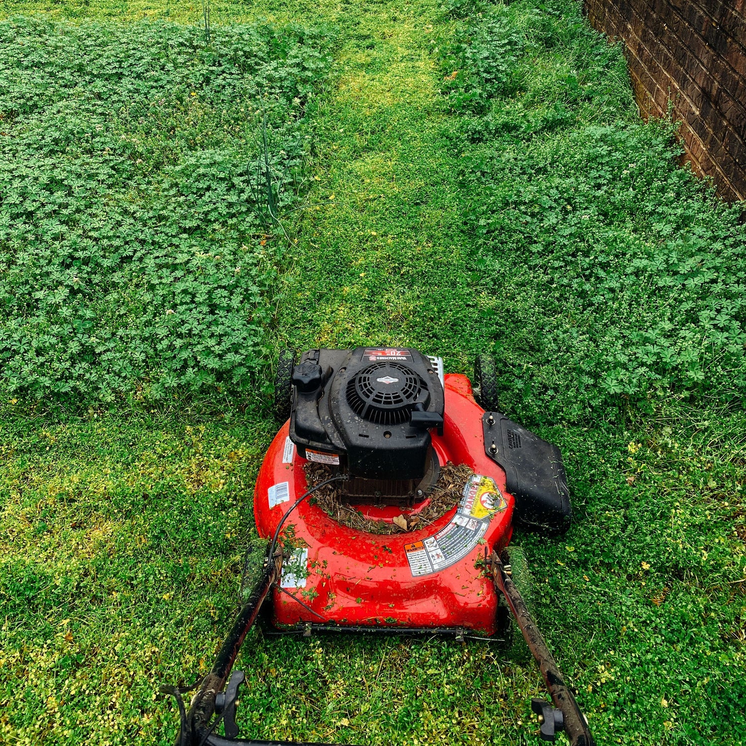 Red lawn mower on a grassy area with a sidewalk and parked cars in the background.
