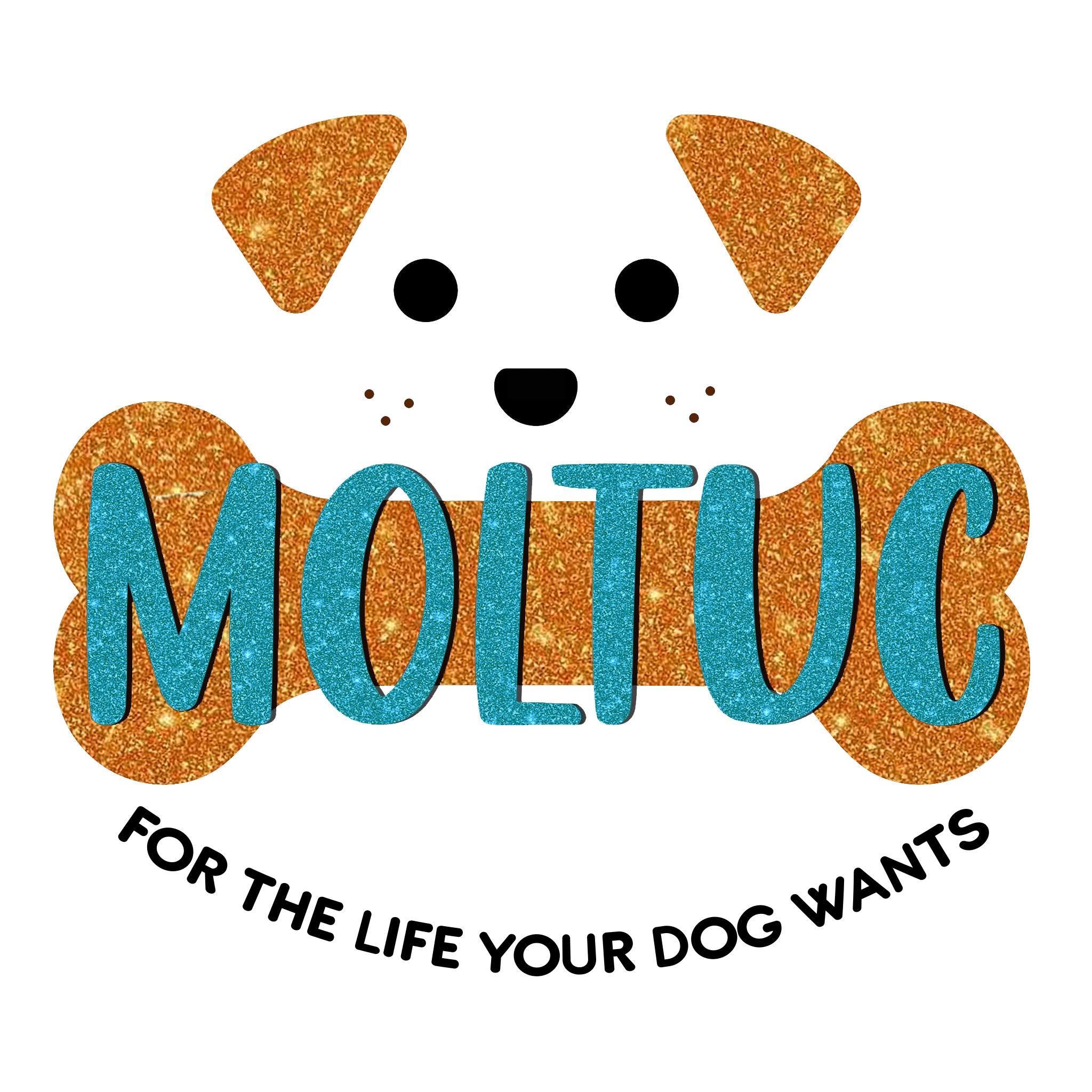 A decorative graphic featuring a white dog face with glittery orange ears and black eyes, a black nose, and a glittery orange bone shape behind turquoise text reading “MOLTUC.” Below, black curved text says “FOR THE LIFE YOUR DOG WANTS.