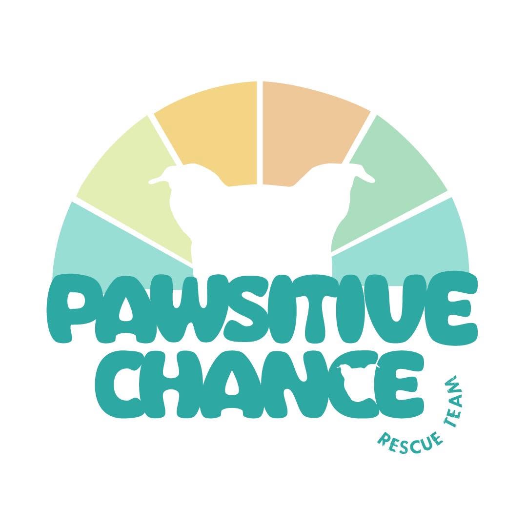 A logo-style graphic on a white background with a white dog silhouette over a pastel semi-circle and the large text 'PAWSITIVE CHANCE,' with smaller curved text 'RESCUE TEAM' in teal.