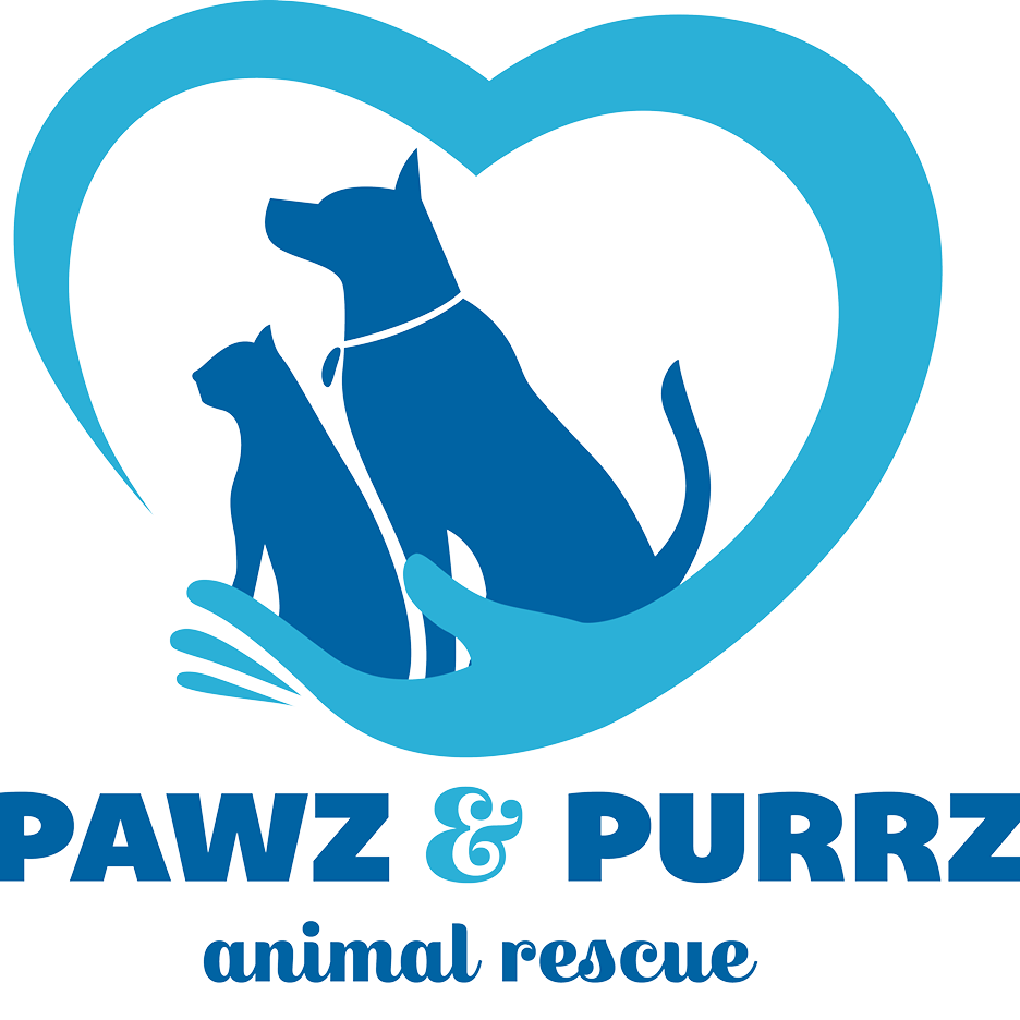 Blue and light blue logo featuring silhouettes of a dog and cat inside a heart shape, with the text 'PAWZ & PURRZ animal rescue' below on a white background.
