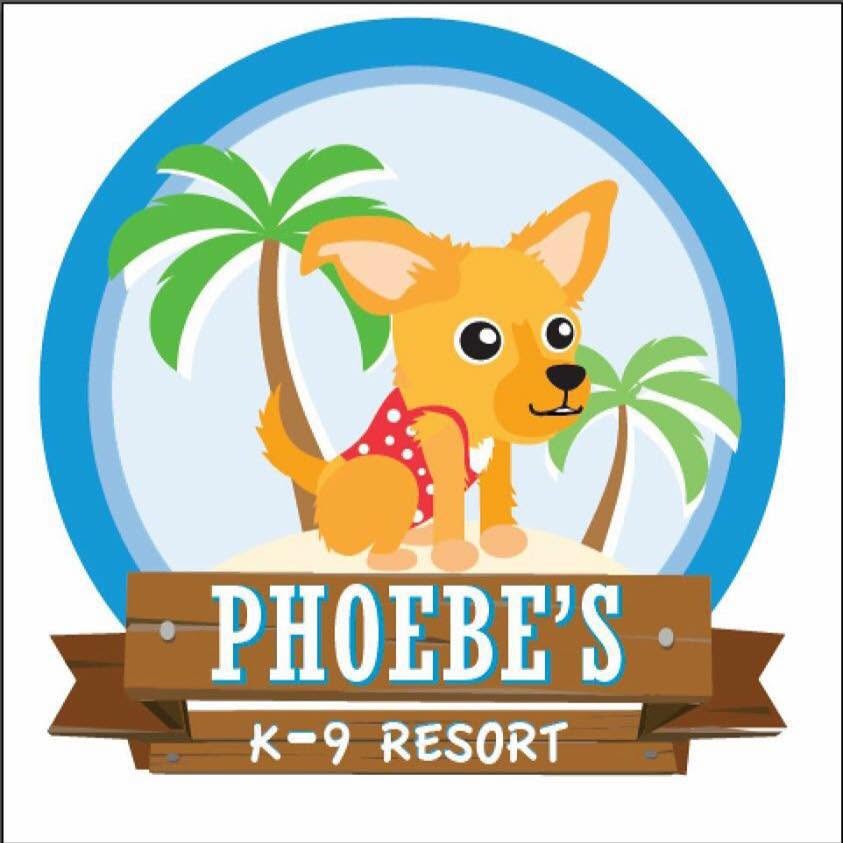 A cartoon-style logo reading 'PHOEBE'S K-9 RESORT' with a smiling golden dog in a red polka-dot swimsuit between two palm trees inside a blue circular frame.
