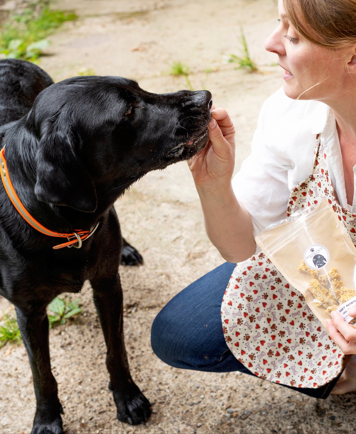 A woman in a white blouse, jeans, and an apron is feeding a dog treat to a black labrador retriever.