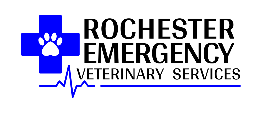 Rochester Emergency Veterinary Services logo with a blue medical cross containing a white paw print, black text, and a blue heartbeat line on a white background.