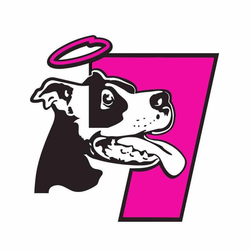 A stylized graphic of a black-and-white dog head with a pink halo, positioned over a large bright pink number 7 on a white background.