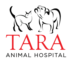 Logo for Tara Animal Hospital featuring a black line drawing of a cat and a dog above the red text 'TARA' and black text 'ANIMAL HOSPITAL'.