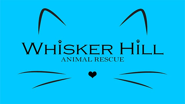A bright blue graphic with black cat-face line art and the text 'Whisker Hill Animal Rescue' in the center.